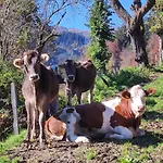 Reicherhof Apartamento Sankt Veit im Pongau