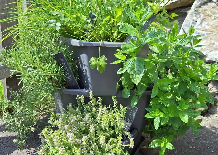 Reicherhof Lägenhet *